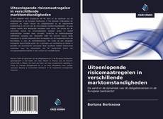 Bookcover of Uiteenlopende risicomaatregelen in verschillende marktomstandigheden