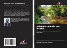 Buchcover von Indagine sulle risorse idriche