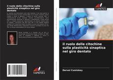 Portada del libro de il ruolo delle citochine sulla plasticità sinaptica nel giro dentato