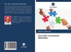 Kurs über numerische Methoden kitap kapağı