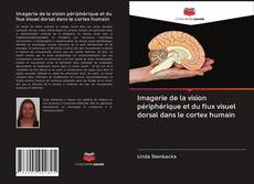 Couverture de Imagerie de la vision périphérique et du flux visuel dorsal dans le cortex humain