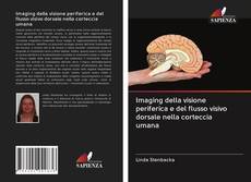Buchcover von Imaging della visione periferica e del flusso visivo dorsale nella corteccia umana