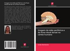 Imagem da visão periférica e do fluxo visual dorsal no córtex humano kitap kapağı
