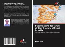 Copertina di Determinanti dei canali di distribuzione efficaci in India