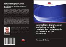 Обложка Interactions induites par la chaleur entre la caséine, les protéines de lactosérum et les lécithines