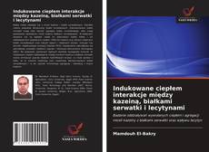 Bookcover of Indukowane ciepłem interakcje między kazeiną, białkami serwatki i lecytynami