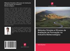 Buchcover von Métodos Simples e Eficazes de Avaliação da Formação na Indústria Biotecnológica
