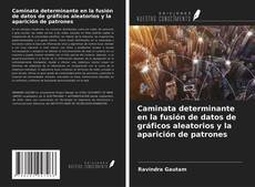 Bookcover of Caminata determinante en la fusión de datos de gráficos aleatorios y la aparición de patrones