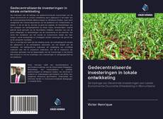 Gedecentraliseerde investeringen in lokale ontwikkeling的封面