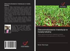 Copertina di Zdecentralizowane inwestycje w rozwój lokalny