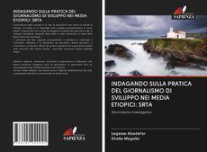 Buchcover von INDAGANDO SULLA PRATICA DEL GIORNALISMO DI SVILUPPO NEI MEDIA ETIOPICI: SRTA