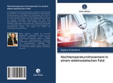 Bookcover of Hochtemperaturnitrozement in einem elektrostatischen Feld