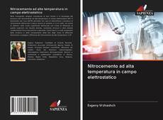 Buchcover von Nitrocemento ad alta temperatura in campo elettrostatico
