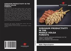 SORGHUM PRODUCTIVITY IN THEMIDDLE VOLGAFORESTS的封面