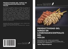 Bookcover of PRODUCTIVIDAD DEL SORGO EN LOSBOSQUESCENTRALES DELVOLGA