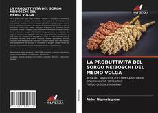 Portada del libro de LA PRODUTTIVITÀ DEL SORGO NEIBOSCHI DELMEDIO VOLGA