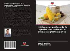 Hétérosis et analyse de la capacité de combinaison du maïs à graines jaunes kitap kapağı