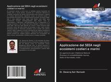 Capa do livro de Applicazione del SEEA negli ecosistemi costieri e marini 