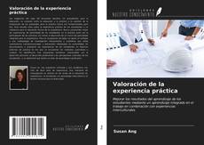 Valoración de la experiencia práctica kitap kapağı