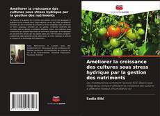 Copertina di Améliorer la croissance des cultures sous stress hydrique par la gestion des nutriments