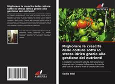 Bookcover of Migliorare la crescita delle colture sotto lo stress idrico grazie alla gestione dei nutrienti