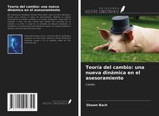 Teoría del cambio: una nueva dinámica en el asesoramiento kitap kapağı