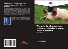 Couverture de Théorie du changement: une nouvelle dynamique dans le conseil