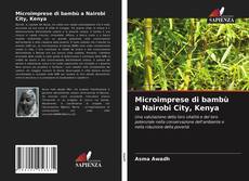 Microimprese di bambù a Nairobi City, Kenya kitap kapağı