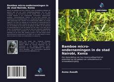 Bookcover of Bamboe micro-ondernemingen in de stad Nairobi, Kenia