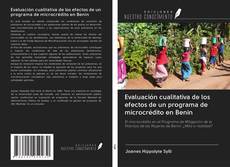 Buchcover von Evaluación cualitativa de los efectos de un programa de microcrédito en Benin