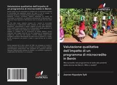 Buchcover von Valutazione qualitativa dell'impatto di un programma di microcredito in Benin