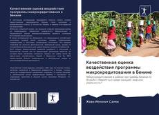 Capa do livro de Качественная оценка воздействия программы микрокредитования в Бенине 