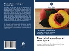 Thermische Umwandlung der Pfirsichgrube: kitap kapağı