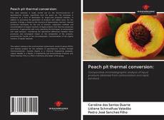 Buchcover von Peach pit thermal conversion: