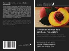 Bookcover of Conversión térmica de la semilla de melocotón: