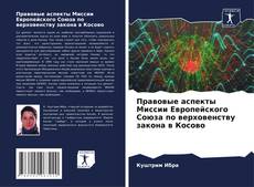 Правовые аспекты Миссии Европейского Союза по верховенству закона в Косово的封面