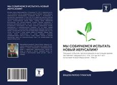 Buchcover von МЫ СОБИРАЕМСЯ ИСПЫТАТЬ НОВЫЙ ИЕРУСАЛИМ?