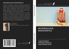 Buchcover von MICROBIOLOGÍA ENDODÓNTICA