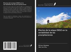 Capa do livro de Efectos de la etapa ENSO en la variabilidad de las precipitaciones 