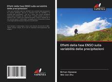 Buchcover von Effetti della fase ENSO sulla variabilità delle precipitazioni