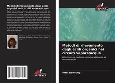 Bookcover of Metodi di rilevamento degli acidi organici nei circuiti vapore/acqua