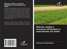 Bookcover of Allarme rapido e sicurezza alimentare e nutrizionale nel Sahel