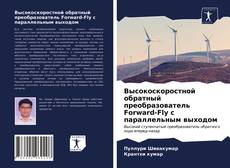 Bookcover of Высокоскоростной обратный преобразователь Forward-Fly с параллельным выходом