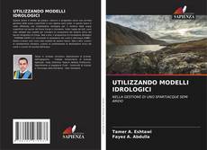 Portada del libro de UTILIZZANDO MODELLI IDROLOGICI