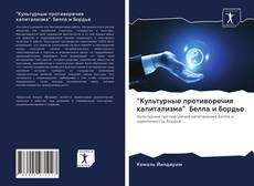 Buchcover von "Культурные противоречия капитализма" Белла и Бордье