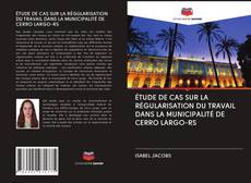 Buchcover von ÉTUDE DE CAS SUR LA RÉGULARISATION DU TRAVAIL DANS LA MUNICIPALITÉ DE CERRO LARGO-RS