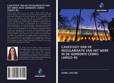 Copertina di CASESTUDY VAN DE REGULARISATIE VAN HET WERK IN DE GEMEENTE CERRO LARGO-RS