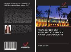 Portada del libro de STUDIUM PRZYPADKU REGULARYZACJI PRACY W GMINIE CERRO LARGO-RS