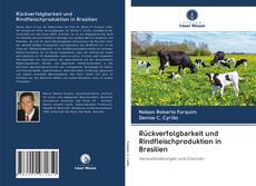 Buchcover von Rückverfolgbarkeit und Rindfleischproduktion in Brasilien