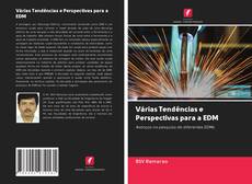 Bookcover of Várias Tendências e Perspectivas para a EDM